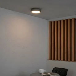 Anga udendørs loftlampe, mørkegrå, beton, Ø 24 cm