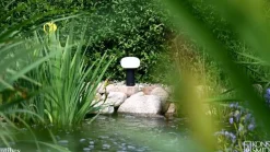 Antibes LED-bordlampe, IP54, batteri, RGBW, hvid