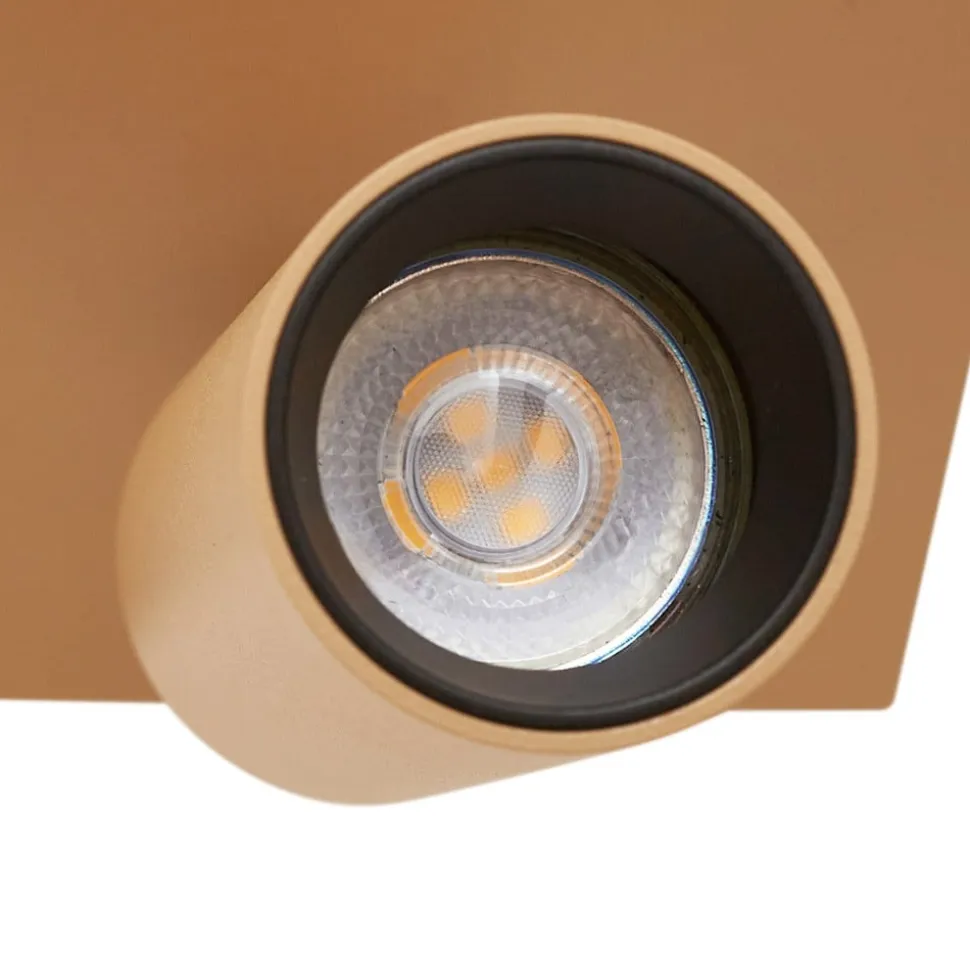 Arcchio loftspot Brinja Slim, brun, 1 lyskilde, GU10 MR11