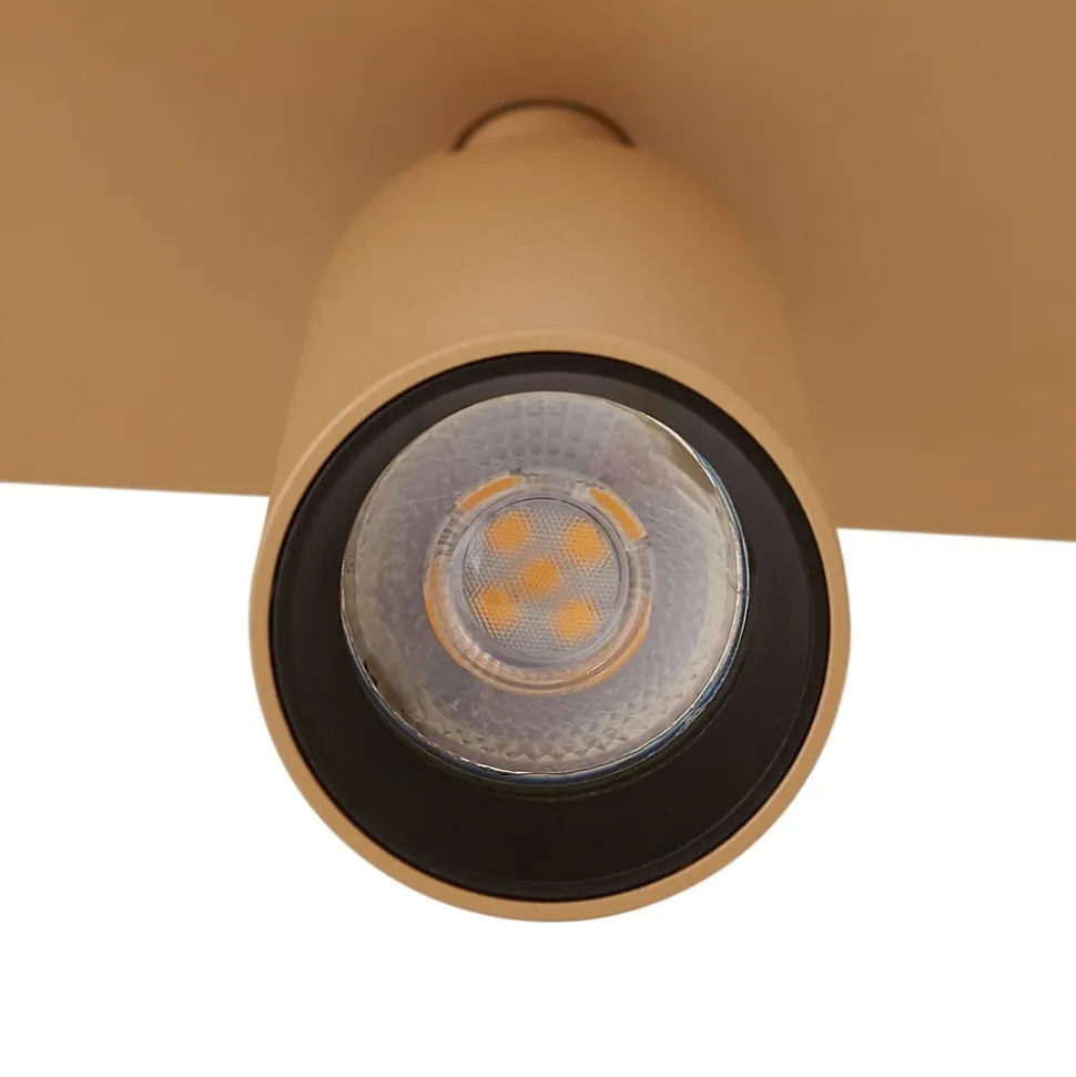 Arcchio loftspot Brinja Slim, brun, 2 lyskilder, GU10 MR11