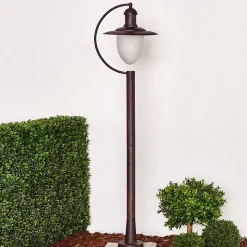 Aruba vejlampe, rustbrun