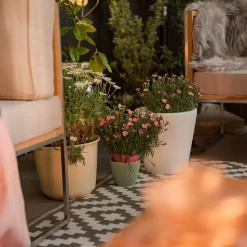 Assisi LED-blomsterpotte, belyst, Ø 28 cm