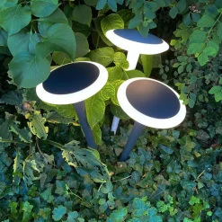 Bermuda LED-sokkellampe med jordspyd, sortgrå