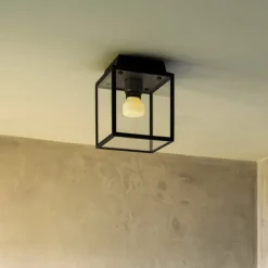 Buster + Punch Caged Wet Small IP44 rødgods