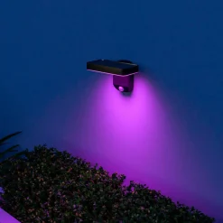 Calex Smart Outdoor solcellelampe til vægmontering, sensor, RGBW