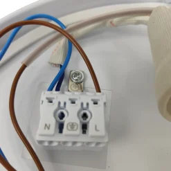 Dinos loftlampe med LED-stjernehimmel