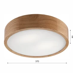 Envostar Caspian loftlampe, Ø 37 cm, IP54, eg