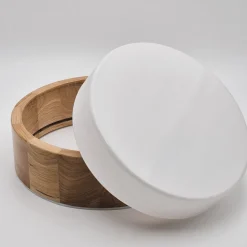 Envostar Caspian loftlampe, Ø 27 cm, IP54, eg