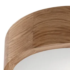 Envostar Caspian loftlampe, Ø 27 cm, IP54, eg