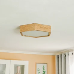 Envostar loftlampe Hagen, eg