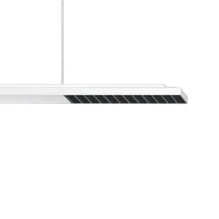 ERCO Jilly P DALI up/down, oval wide hvid/sort 840