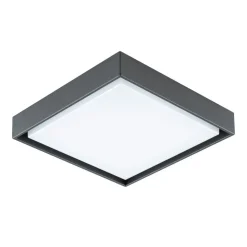 EVN LED udendørs loftlampe Tectum, 24x24 cm, antracit, 110°