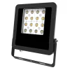 EVN Panthera udendørs LED-spot IP65 30W 4.000K