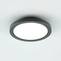 EVN Tectum LED udendørs loftlampe, rund med glas