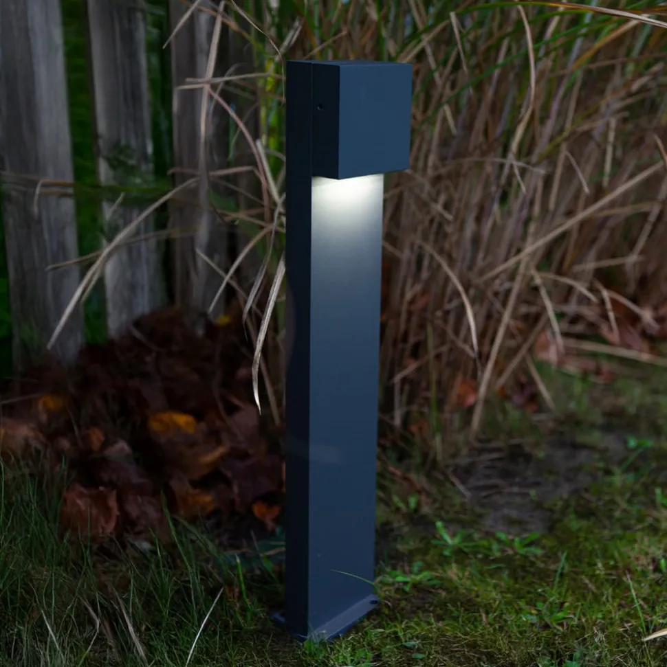 Gemini FX LED-gadelampe, IP54, antracit