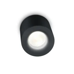 Helestra Lot udendørs loftlampe, IP65, sort