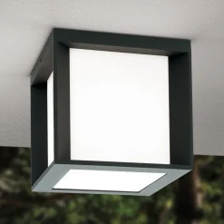 Henry udendørs væglampe, 16 x 16 x 16 cm, antracit