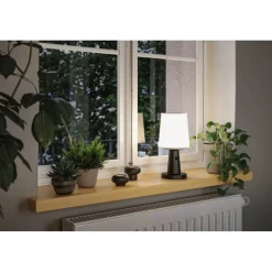 Ilanga Solcelle Lampe Anthracite - Paulmann