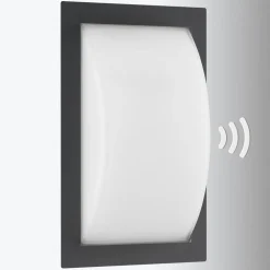 Ivett udendørs LED-væglampe, grafit, bevægelsessensor