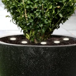 LED jordlys Spinetoli 2, sæt med 6 med jordspyd