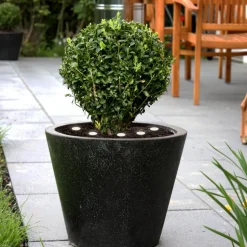 LED jordlys Spinetoli 2, sæt med 6 med jordspyd