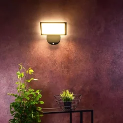 LED udendørs væglampe Alkes L med sensor, 30 cm