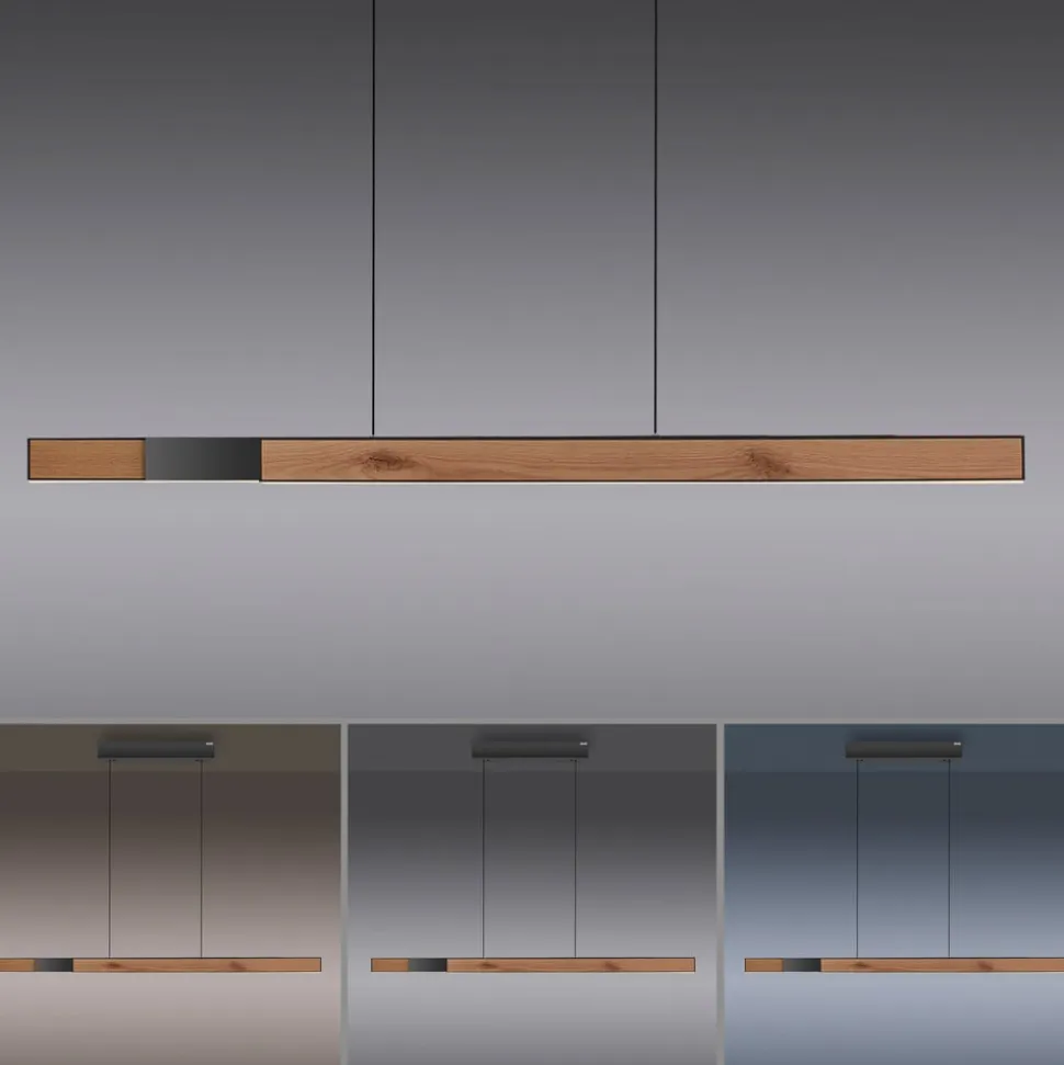 LED-hængelampe PURE Moto-Rise, eg/sort perle, aluminium, CCT