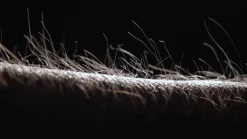 LED-hængelampe PURE Moto-Rise, platin, aluminium, CCT