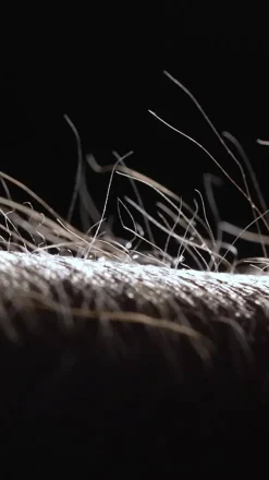 LED-hængelampe PURE Moto-Rise, platin, aluminium, CCT