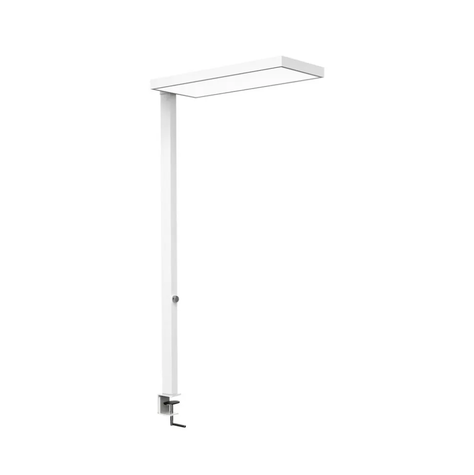 LED-klemmelampe MAULjura, hvid, aluminium, dæmpbar, 100 cm