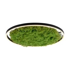 LED-loftlampe Green Ritus, mos dæmpbar Ø58,5cm