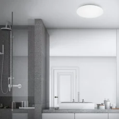 LED-loftslampe Case til badeværelset IP44 3.000K Ø 40cm