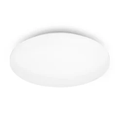 LED-loftslampe Case til badeværelset IP44 3.000K Ø 40cm