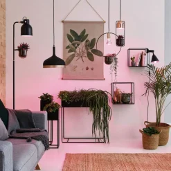 LED-plantepære E14 R50 4W