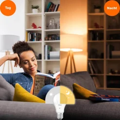 LED-pære E27 10 W 2.700 K med dagslyssensor