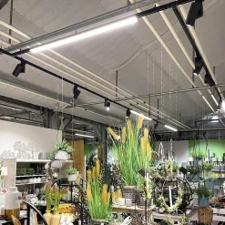 LED-skinnelampe LINEAR PRO sort 930 60 cm 3-kredsløb DALI