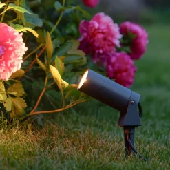 LED-spot med jordspyd 5131, sort, aluminium, glas, Schuko-stik