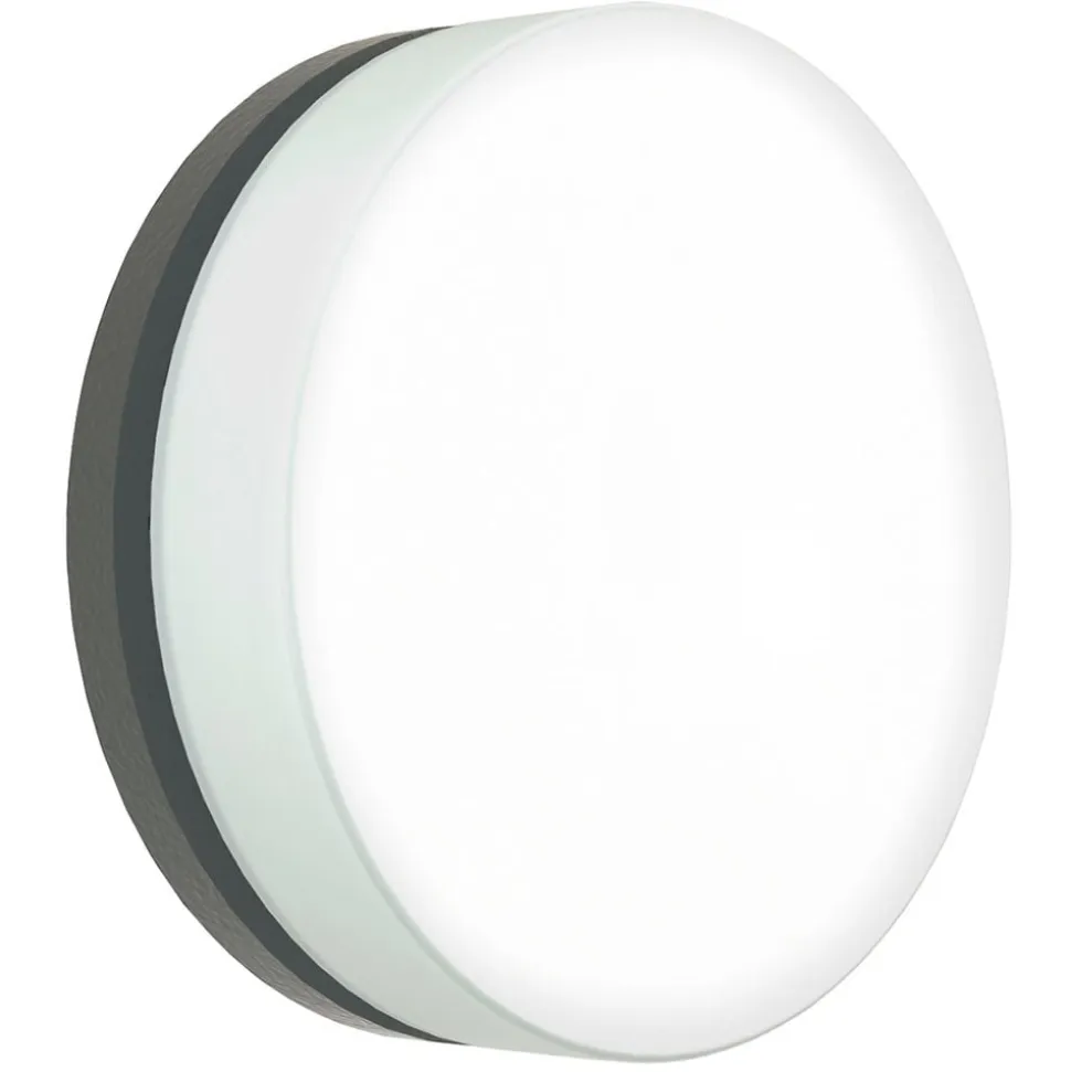 LED-væglampe 6309 antracit, IP65, Ø 31 cm