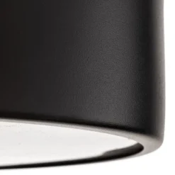 Loftlampe Cleo 300, IP54, Ø 30 cm sort