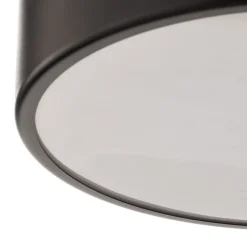 Loftlampe Cleo 300, IP54, Ø 30 cm sort