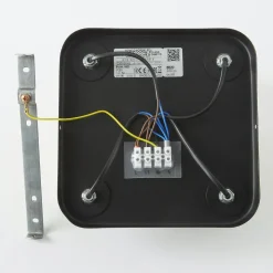 Loftlampe Eye Spot med 4 lyskilder, sort/messing