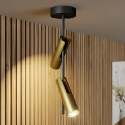 Loftspot Leda 2, 2 lyskilder, sort-guld