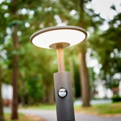 Lucande Fenia LED-vejlampe, 100 cm, sensor, IP54, antracit