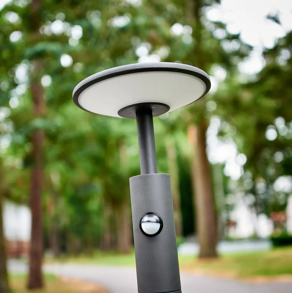 Lucande Fenia LED-vejlampe, 100 cm, sensor, IP54, antracit