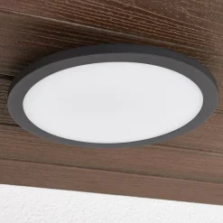 Lucande LED udendørs loftlampe Malena, bevægelsessensor, IP65