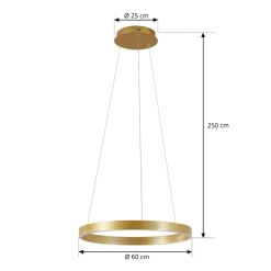 Lucande LED-hængelampe Yonam, Ø 60 cm, 1 lyskilde, guld, CCT