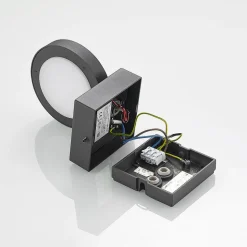 Lucande udendørs LED-væglampe Belna, metal, sensor, IP54