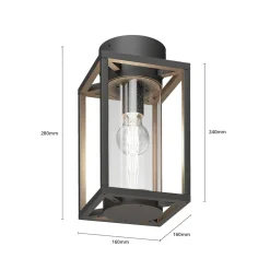 Lucande udendørs loftlampe Ferda, 29 cm, antracit, IP44