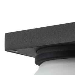 Lucande udendørs væglampe Ovaali, glas, mørkegrå, IP65