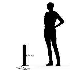 Lucande Virgalia LED-vejlampe, bevægelsessensor, 65 cm, IP54